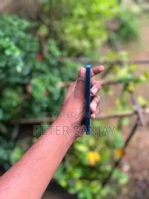 Apple iPhone 12 mini (Used)