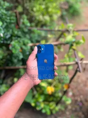 Apple iPhone 12 mini (Used)