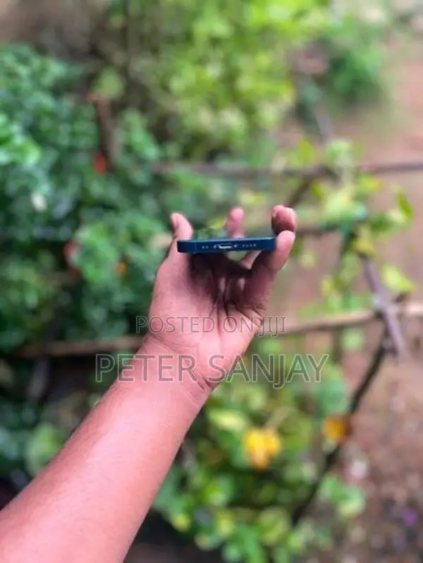 Apple iPhone 12 mini (Used)