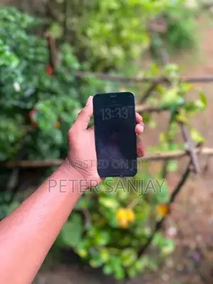 Apple iPhone 12 mini (Used)