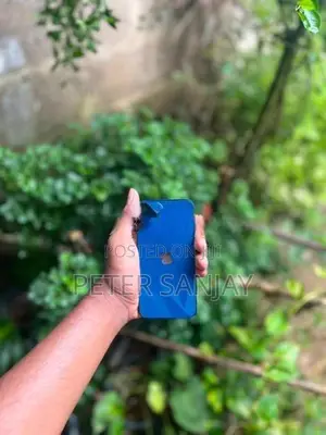 Apple iPhone 12 mini (Used)