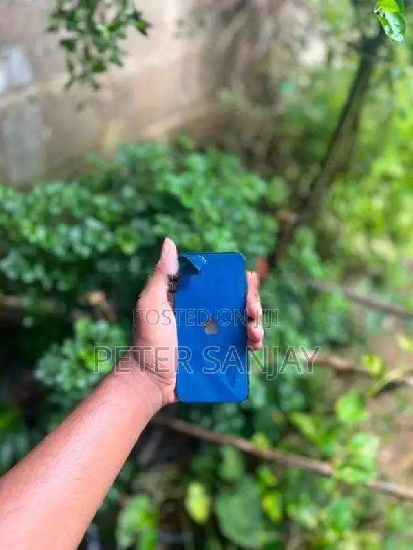 Apple iPhone 12 mini (Used)