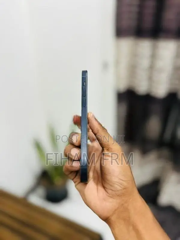 Apple iPhone 12 (Used)