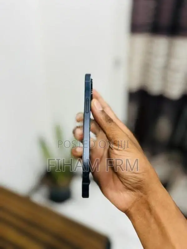 Apple iPhone 12 (Used)