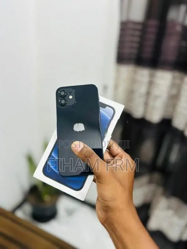 Apple iPhone 12 (Used)
