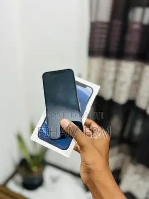 Apple iPhone 12 (Used)