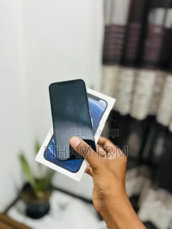 Apple iPhone 12 (Used)