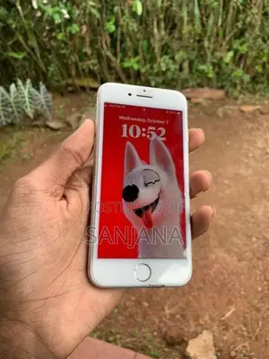 Apple iPhone 8 (Used)