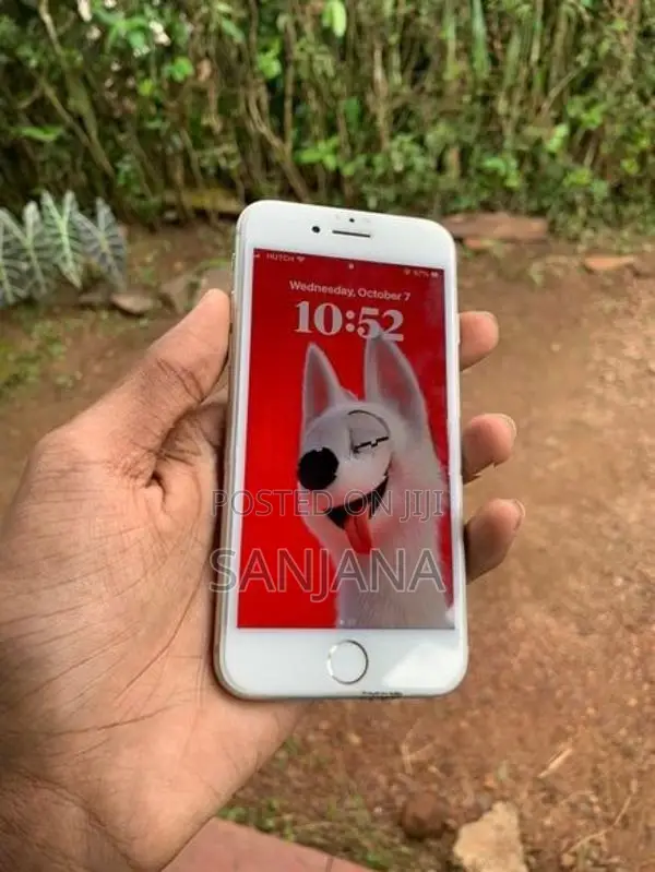 Apple iPhone 8 (Used)
