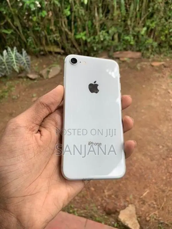 Apple iPhone 8 (Used)