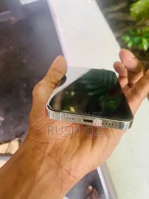 Apple iPhone 13 Pro (Used)