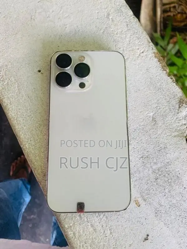 Apple iPhone 13 Pro (Used)
