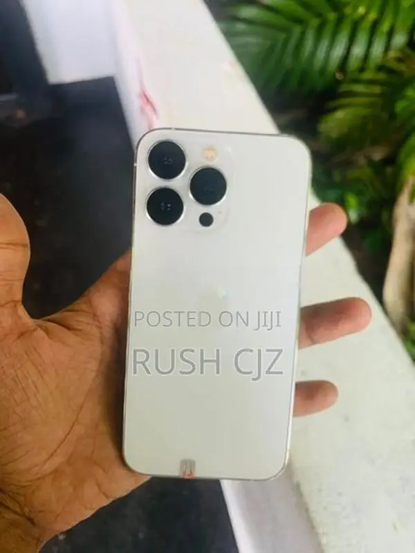 Apple iPhone 13 Pro (Used)