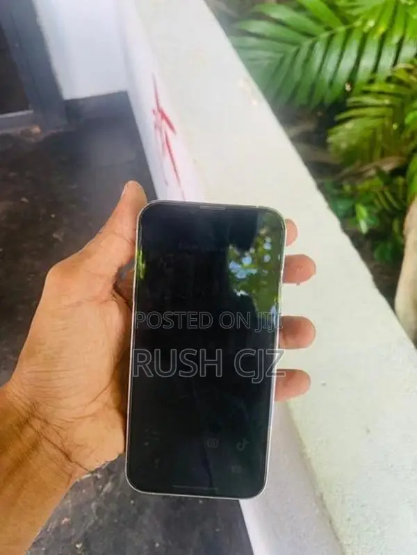Apple iPhone 13 Pro (Used)
