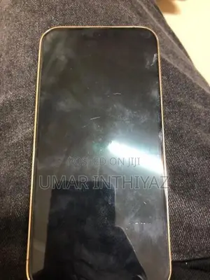 Apple iPhone 13 Pro (Used)