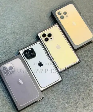 Apple iPhone 13 Pro Gray-Gold | 256GB (Used)