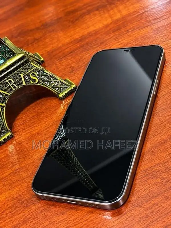 Apple iPhone 12 Pro Max (Used)
