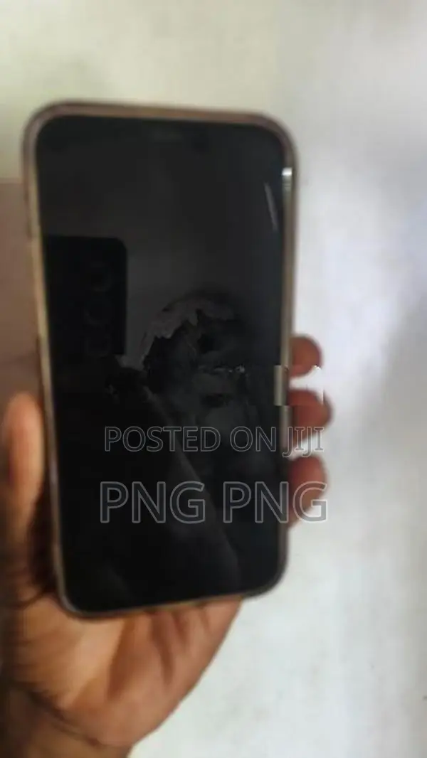 Apple iPhone 12 Pro (Used)
