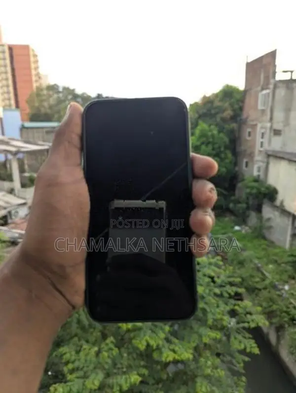 Apple iPhone 14 (Used)