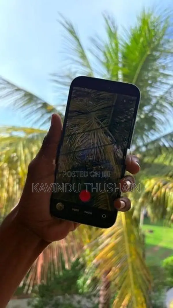 Apple iPhone 15 (Used)