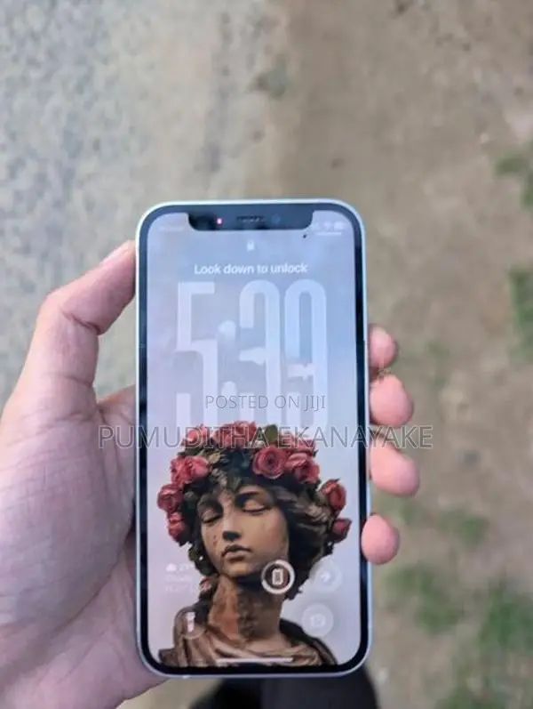 Apple iPhone 12 mini (Used)