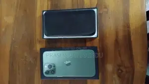 Apple iPhone 13 Pro Max (Used)