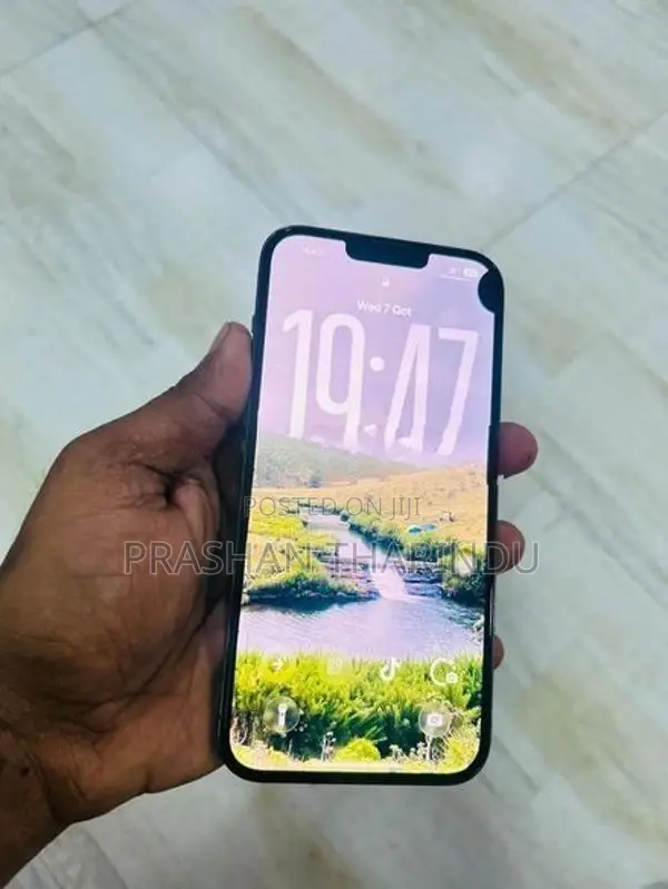 Apple iPhone 13 Pro Max (Used)