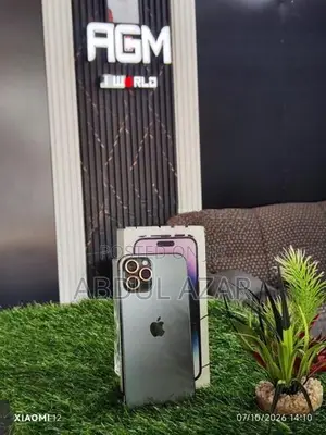 Apple iPhone 12 Pro Max (Used)