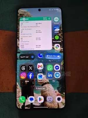 OnePlus 13 (Used)