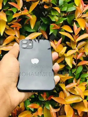 Apple iPhone 12 (Used)