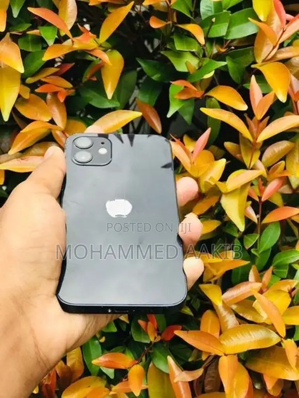 Apple iPhone 12 (Used)