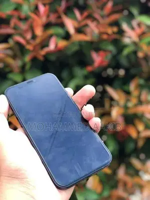Apple iPhone 12 (Used)