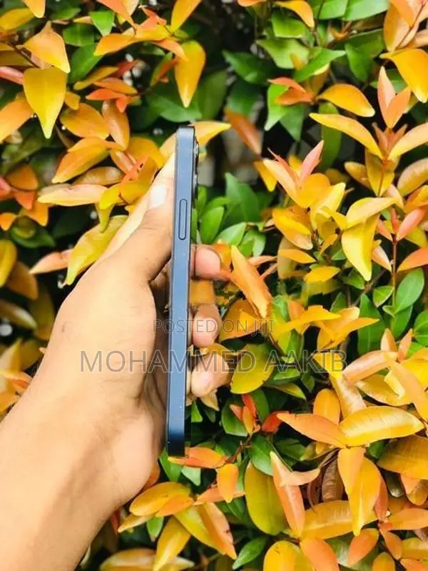 Apple iPhone 12 (Used)
