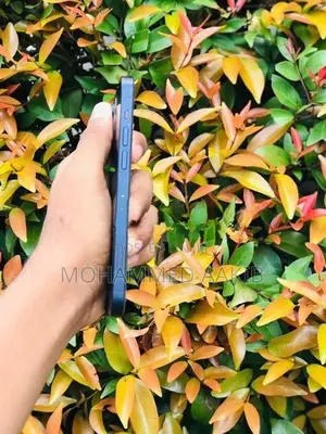 Apple iPhone 12 (Used)
