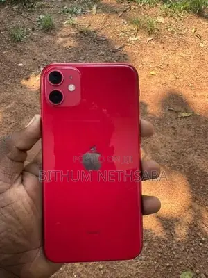 Apple iPhone 11 (Used)