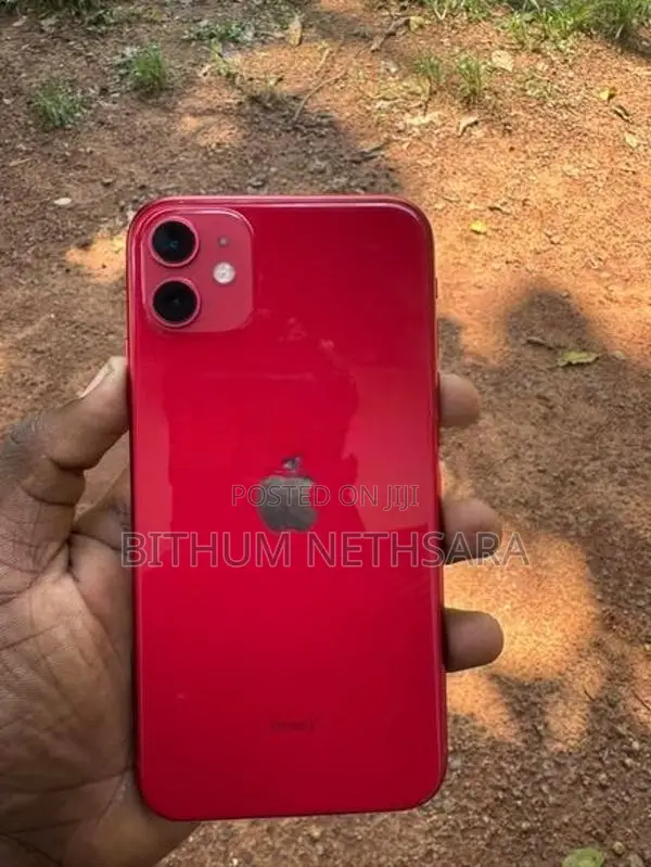 Apple iPhone 11 (Used)
