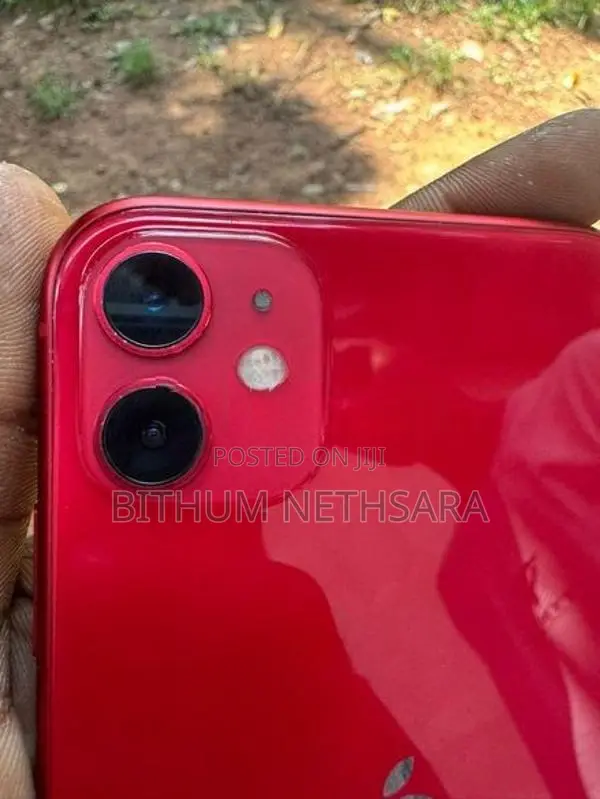 Apple iPhone 11 (Used)