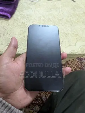 Apple iPhone 13 Pro (Used)