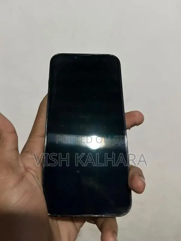 Apple iPhone 13 Pro (Used)