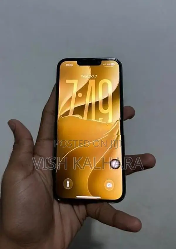 Apple iPhone 13 Pro (Used)