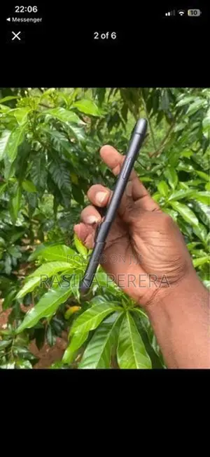 Apple iPhone 11 (Used)