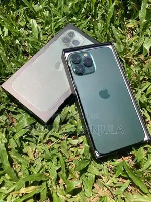 Apple iPhone 13 Pro Max (Used)