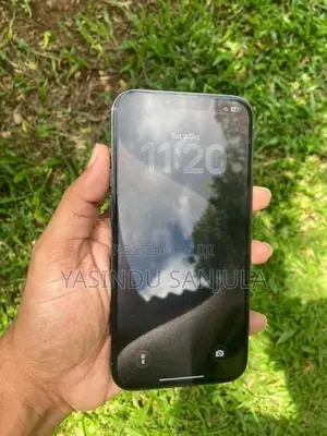 Apple iPhone 13 Pro Max (Used)