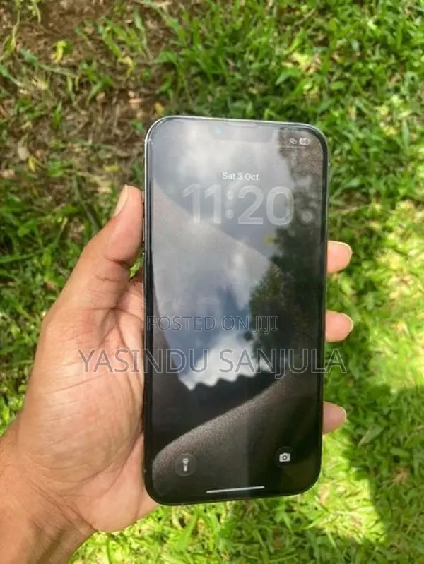Apple iPhone 13 Pro Max (Used)
