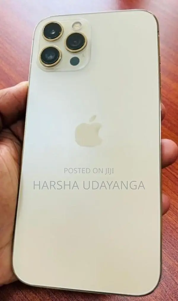 Apple iPhone 12 Pro Max (Used)