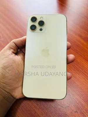 Apple iPhone 12 Pro Max (Used)