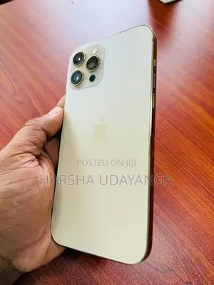 Apple iPhone 12 Pro Max (Used)