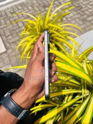 Vivo V70 FE S50 (Used)