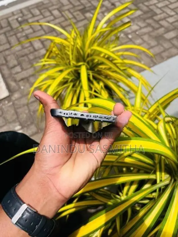 Vivo V70 FE S50 (Used)