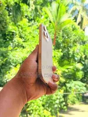Apple iPhone 16 Pro Max 256GB (Used)